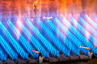 Bonawe gas fired boilers